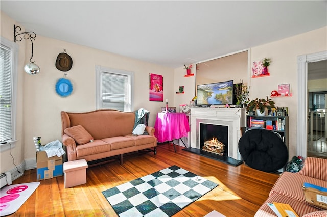 living room with hardwood / wood-style floors