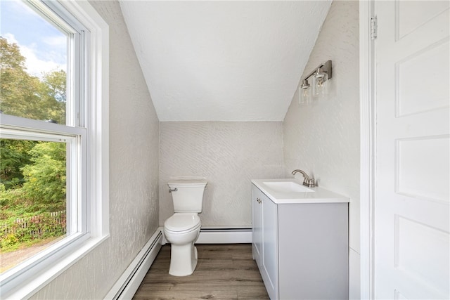 bathroom with plenty of natural light, vanity, vaulted ceiling, and wood-type flooring