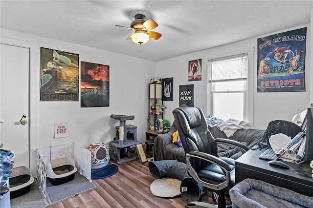 office area featuring hardwood / wood-style floors, a textured ceiling, and ceiling fan