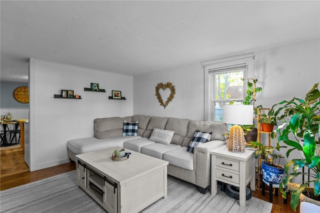 living room with a textured ceiling and light hardwood / wood-style flooring