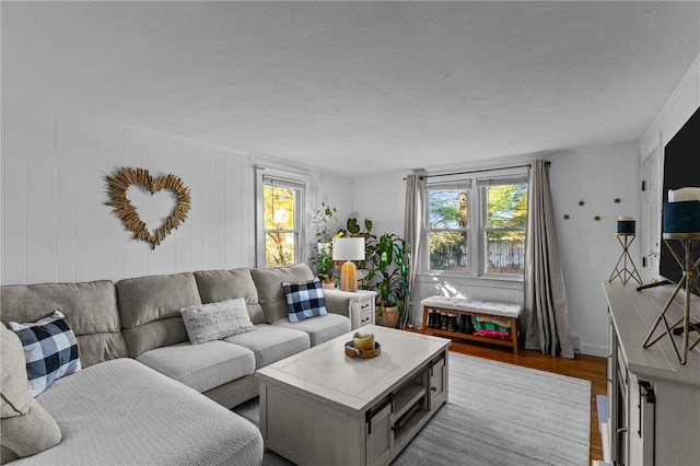 living room featuring a textured ceiling and light hardwood / wood-style flooring