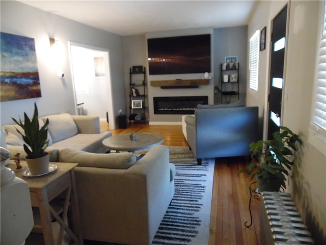 living room featuring radiator and wood-type flooring