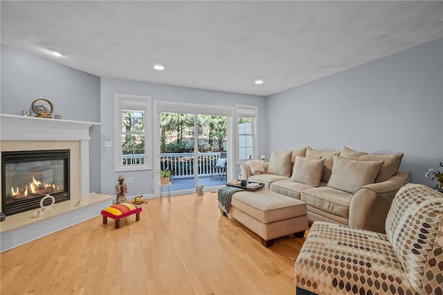 living room with light hardwood / wood-style flooring