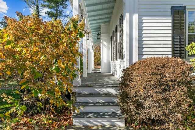 view of entrance to property