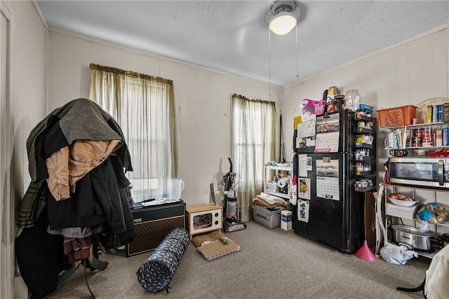 misc room with carpet floors, crown molding, and a healthy amount of sunlight