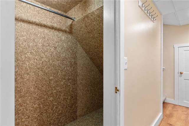 bathroom with wood-type flooring