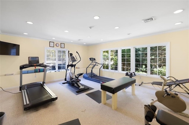 exercise room featuring carpet floors and ornamental molding