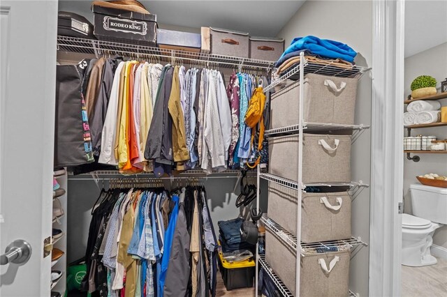 view of spacious closet