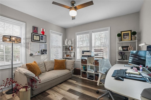 office space featuring wood-type flooring and ceiling fan