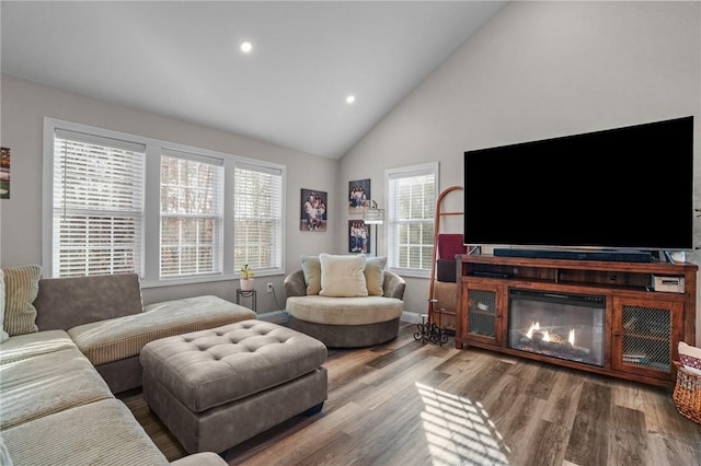 living room with hardwood / wood-style flooring and vaulted ceiling