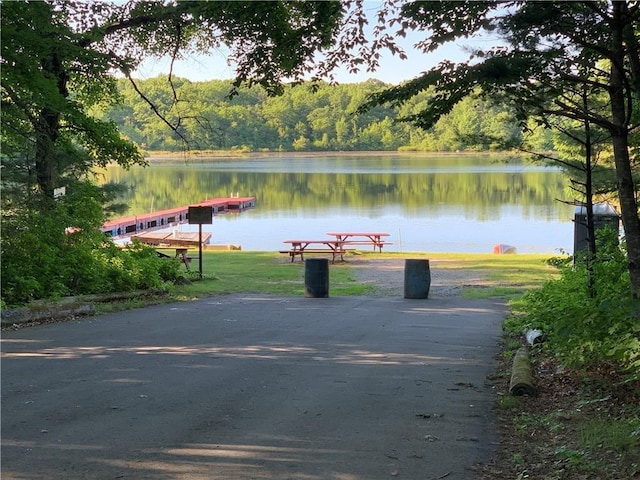 view of community with a water view