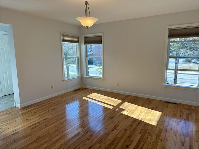 spare room featuring plenty of natural light and light hardwood / wood-style floors