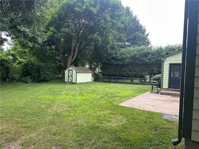 view of yard with a patio and a storage unit