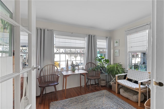 sitting room with plenty of natural light and dark wood-type flooring