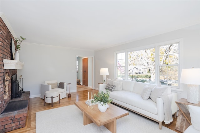 living room with crown molding and light hardwood / wood-style flooring