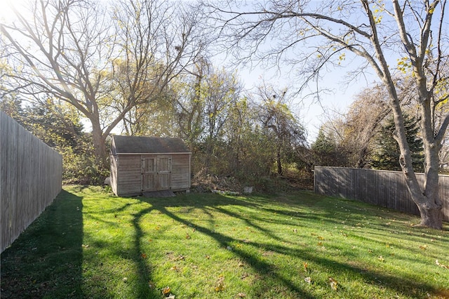 view of yard with a shed