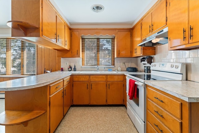 kitchen with decorative backsplash, white electric range, a wealth of natural light, and sink