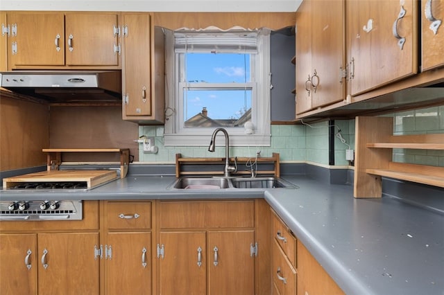 kitchen featuring backsplash and sink