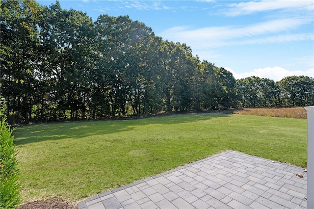 view of yard with a patio area