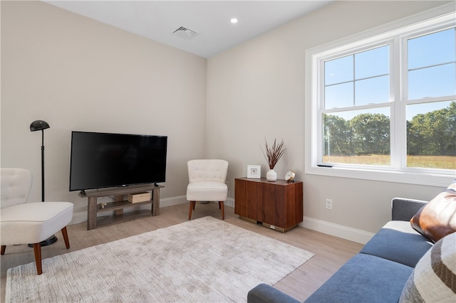 living room featuring light hardwood / wood-style flooring