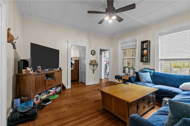 living room featuring hardwood / wood-style flooring, ceiling fan, and crown molding