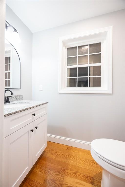 bathroom featuring vanity, toilet, and wood-type flooring