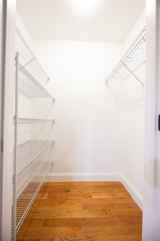 spacious closet featuring wood-type flooring