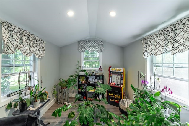 playroom featuring hardwood / wood-style flooring and vaulted ceiling