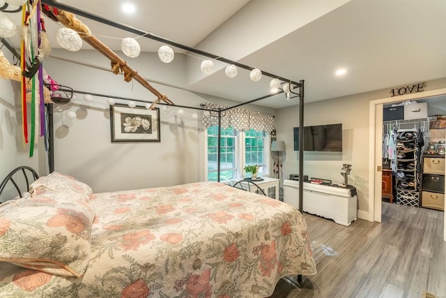 bedroom with hardwood / wood-style floors, a spacious closet, and a closet