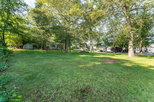 view of yard featuring a shed