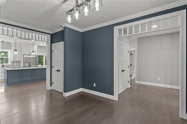 interior space featuring crown molding, dark wood-type flooring, and sink