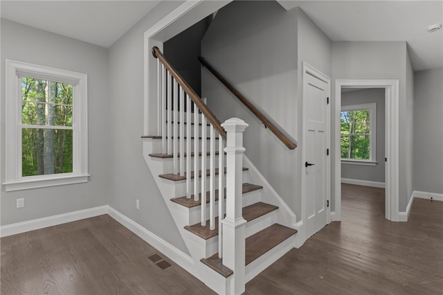 staircase featuring plenty of natural light and wood-type flooring