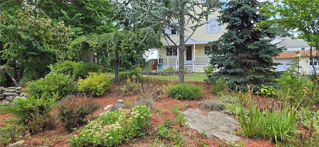 view of yard featuring covered porch