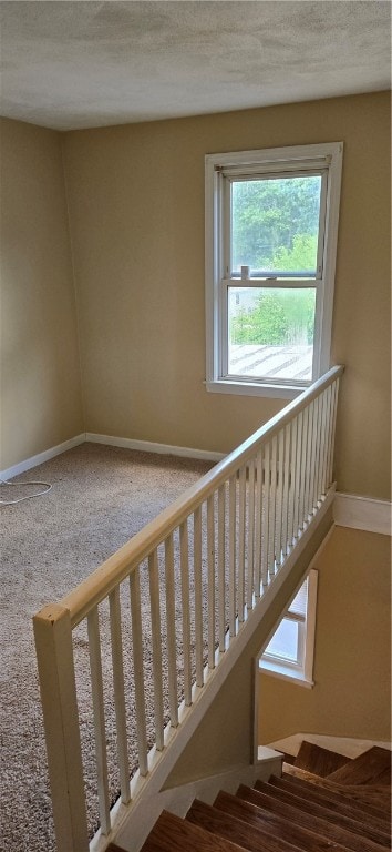 staircase featuring carpet and a textured ceiling