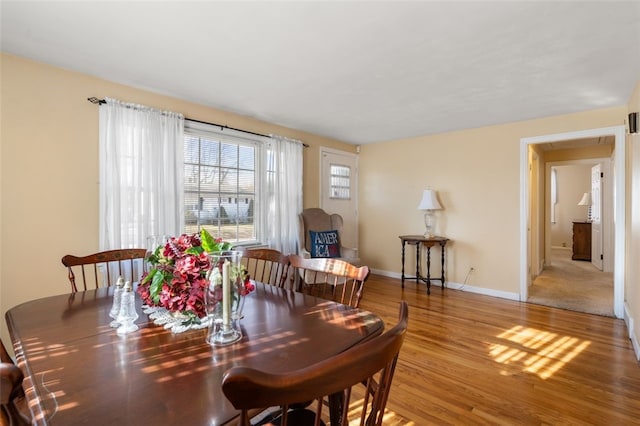 dining room with hardwood / wood-style flooring