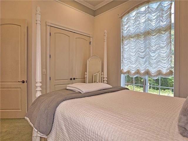 bedroom featuring carpet floors, crown molding, and a closet