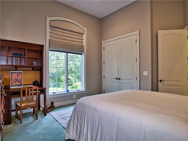 bedroom with a closet and carpet floors