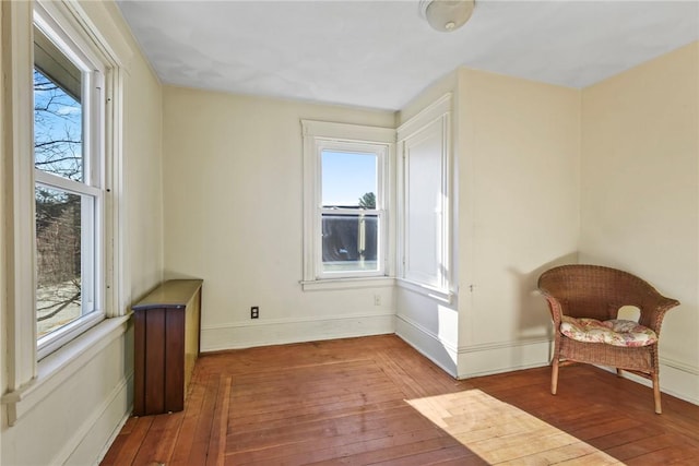 sitting room featuring wood-type flooring