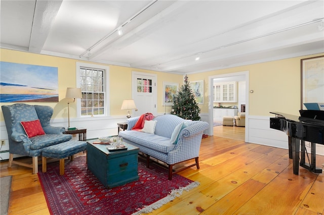 living room featuring beam ceiling and wood-type flooring