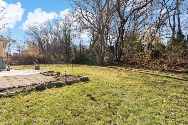 view of yard featuring a patio area