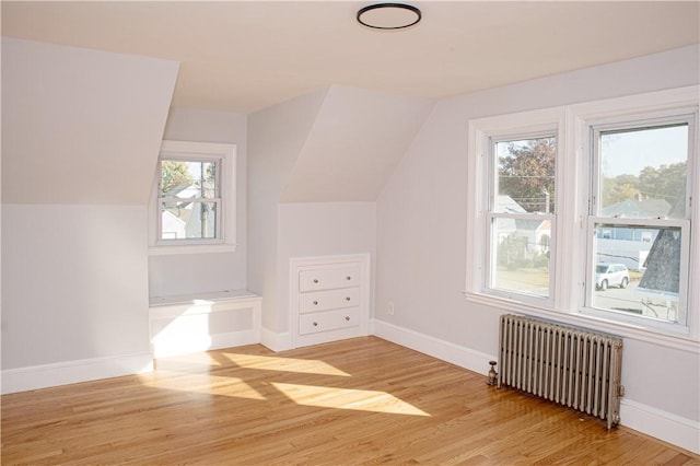 additional living space featuring a wealth of natural light, radiator heating unit, and light hardwood / wood-style floors