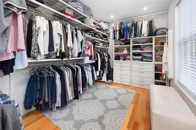 spacious closet with hardwood / wood-style flooring