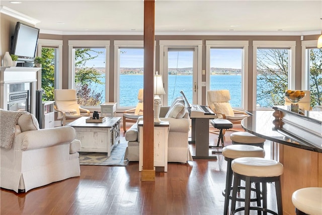 living room with plenty of natural light, dark hardwood / wood-style flooring, and a water view