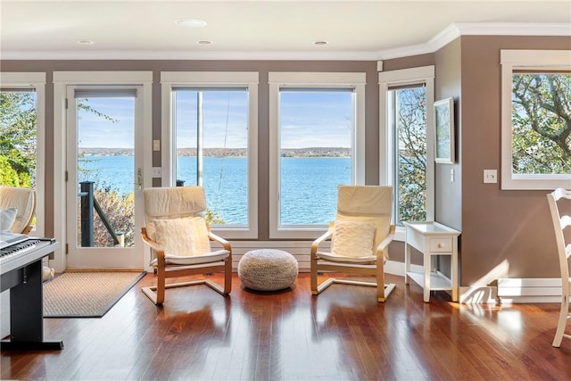 living area with plenty of natural light, a water view, and crown molding