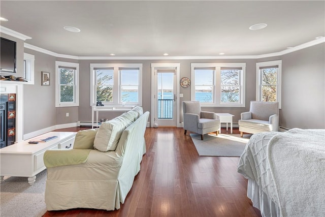 bedroom with dark hardwood / wood-style flooring, baseboard heating, multiple windows, and ornamental molding