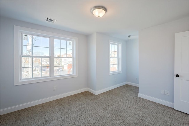 empty room with carpet and a wealth of natural light