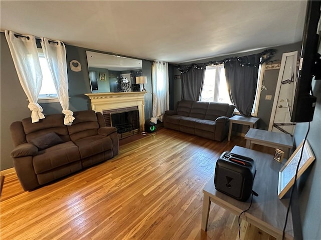 living room featuring wood-type flooring