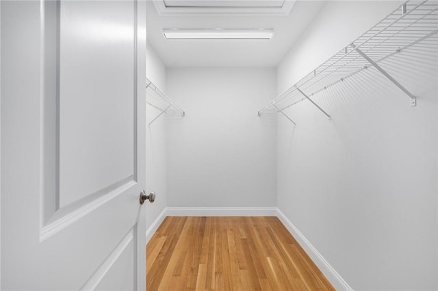 spacious closet with hardwood / wood-style floors