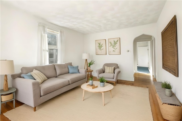 living room featuring wood-type flooring