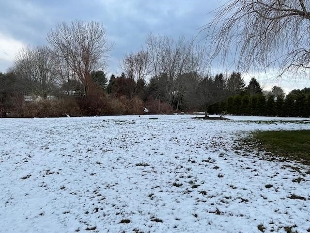 view of snowy yard